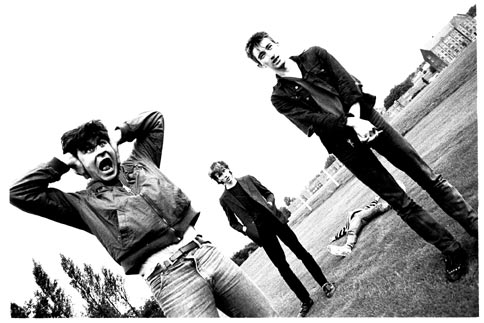 The Chameleons